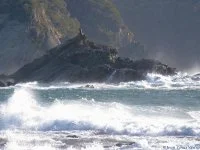TempÃªte sur le Brusc