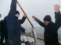 L'équipage de la Belle-Poule pêche la morue