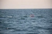 Une mine flottante en mer Noire