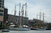 A Savannah, excursion dans le monde de la tall ship et du challenge
