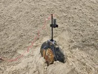 Un obus préparé par les plongeurs-démineurs en vue de sa neutralisation
