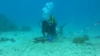 Opération de déminage dans le lagon de Nouméa