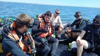 Un détachement du groupe de plongeurs-démineurs Atlantique participe à un exercice interallié en Roumanie
