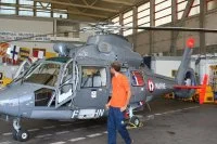 Le 2e Dauphin belge