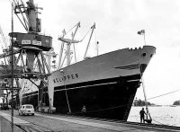 Le Finnclipper