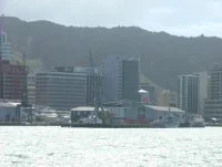 La Moqueuse au pays des Kiwis