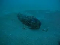 Une bombe americaine pour un équivalent TNT de 150 kg