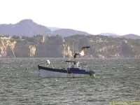 Le bateau de pêche dans les passes, avec personne à bord