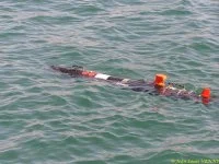 Le drone anti-mines REMUS