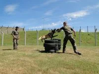 Entraînement de mordant en manchette