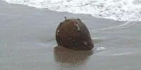 Une mine d'origine inconnue découverte sur les côtes de la mer Noire