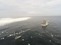 Le patrouilleur Fulmar à proximité des glaces