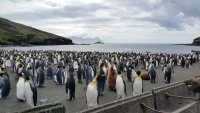 La frégate Floréal au large de l'île Crozet