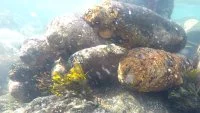 Munitions retouvées autour de l'île de Batz