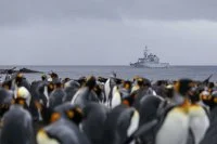 La frégate Nivôse fait escale dans l’archipel de Crozet
