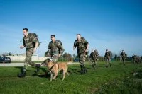Les fusiliers marins de Ste Assise s’entraînent à Cherbourg
